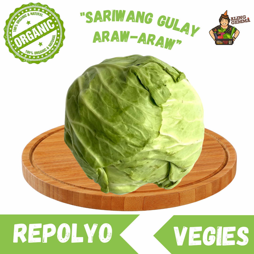 Repolyo