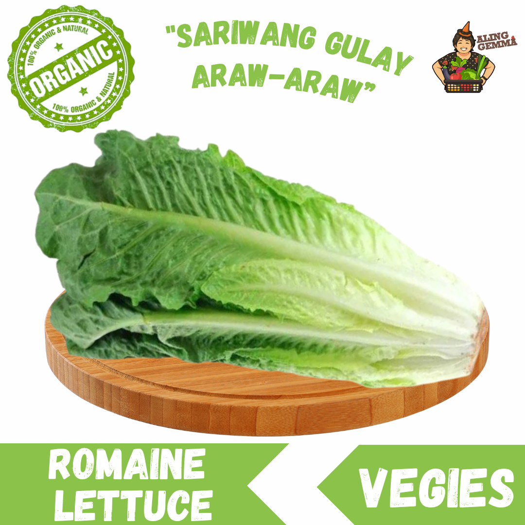 Romaine Lettuce