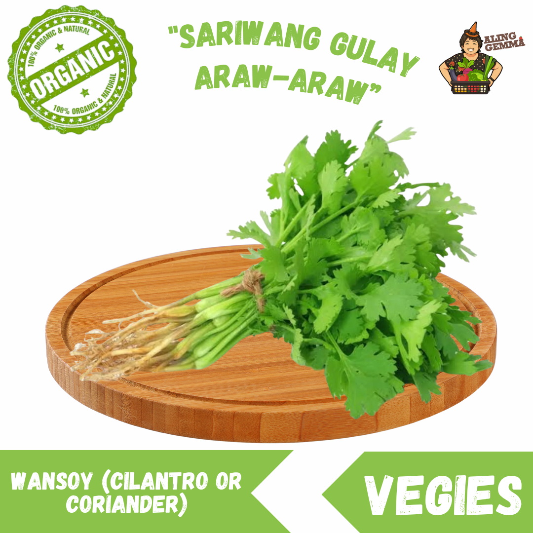 Wansoy (Cilantro or Coriander)