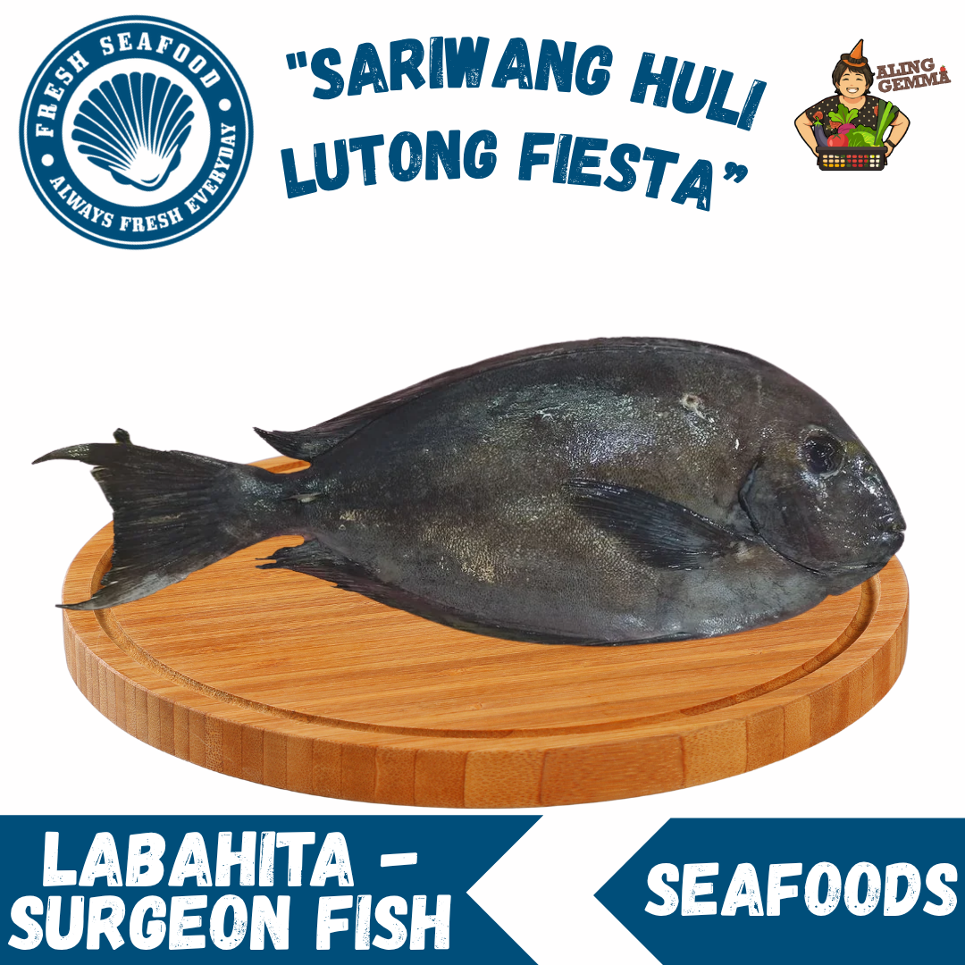 Labahita - Surgeon Fish