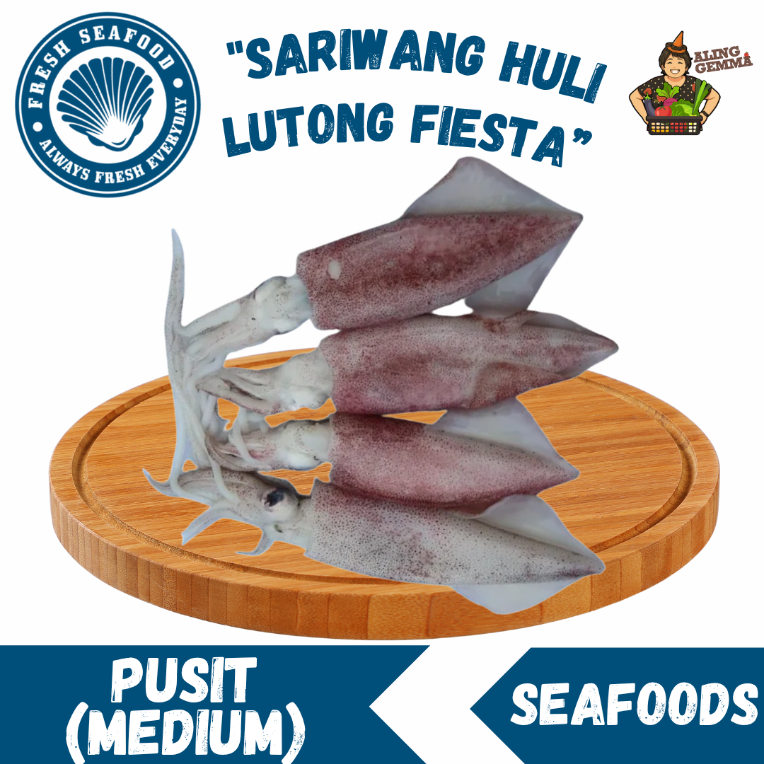 Pusit (Medium)