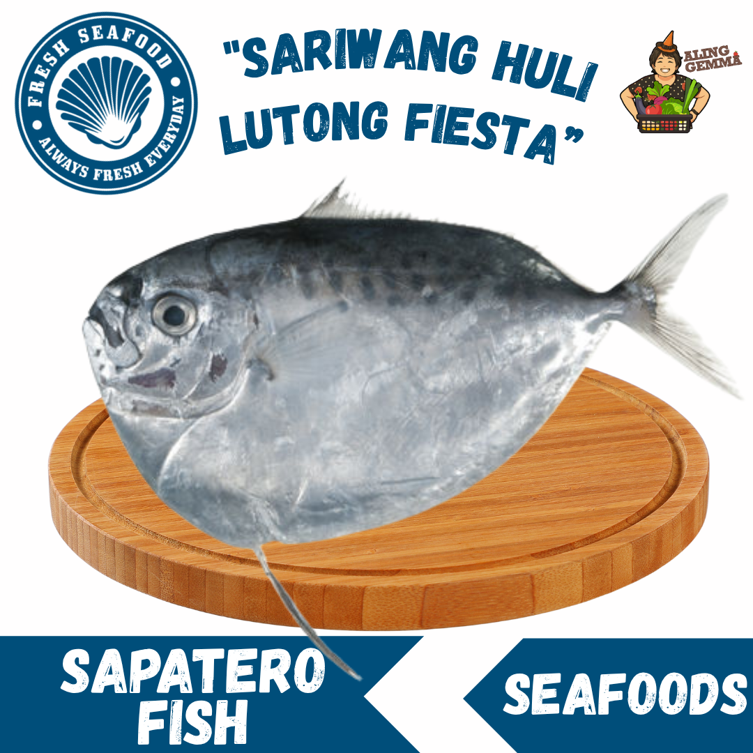 Sapatero Fish