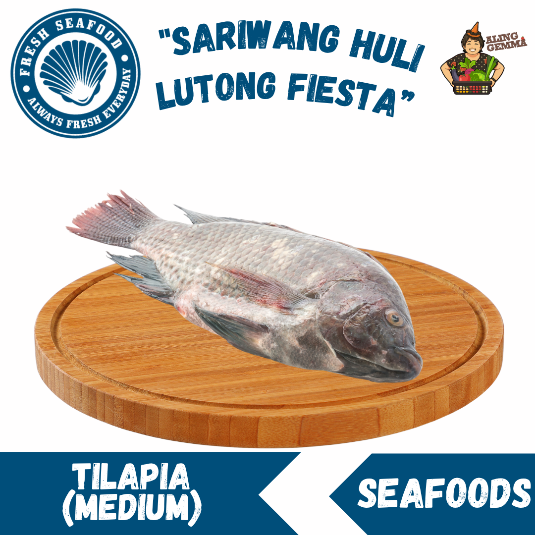 Tilapia (Medium)