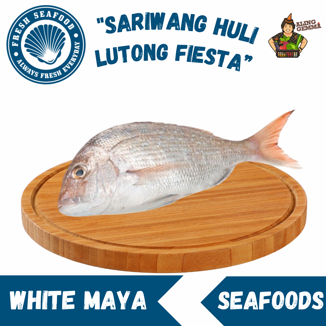 White Maya