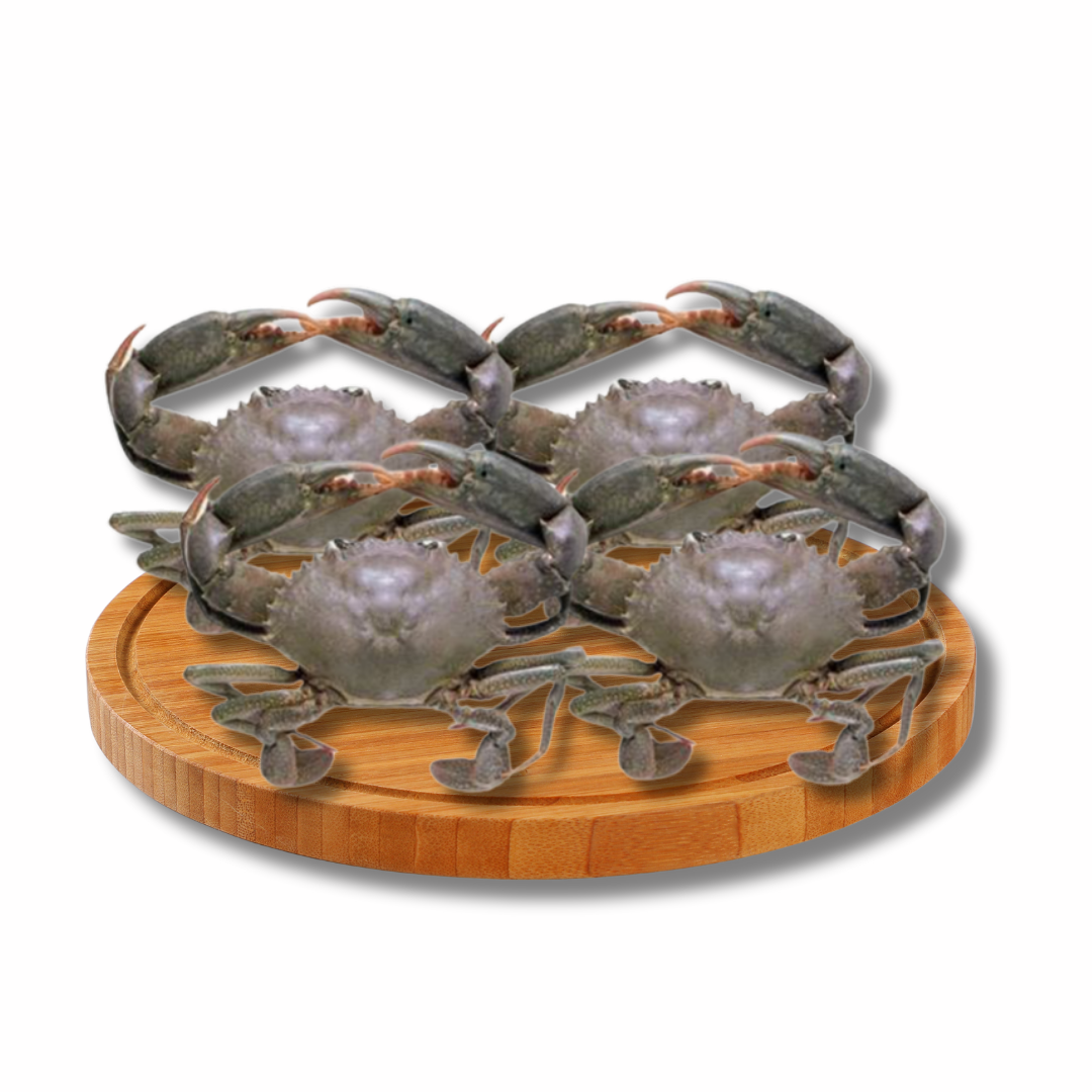 Alimango - Mud Crab