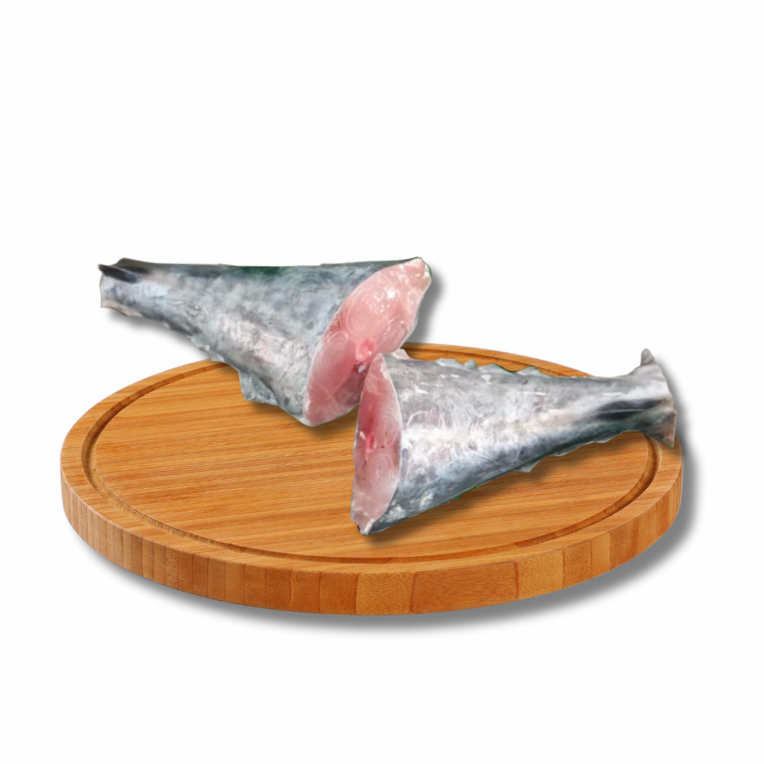 Tanigue Buntot
