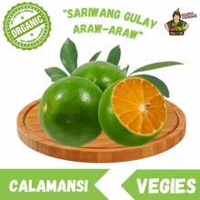 Load image into Gallery viewer, Calamansi
