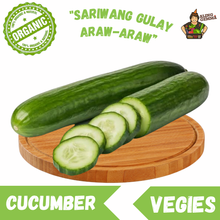 Load image into Gallery viewer, Cucumber
