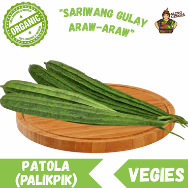 Patola (palikpik)