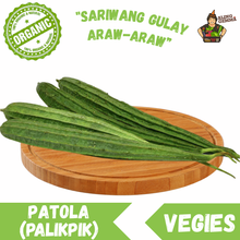 Load image into Gallery viewer, Patola (palikpik)
