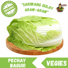 Load image into Gallery viewer, Pechay Baguio
