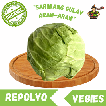 Repolyo