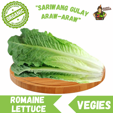Romaine Lettuce