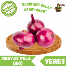 Load image into Gallery viewer, Sibuyas Pula / Onion - Big

