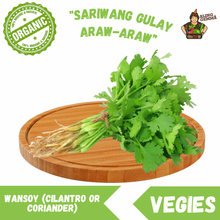 Load image into Gallery viewer, Wansoy (Cilantro or Coriander)
