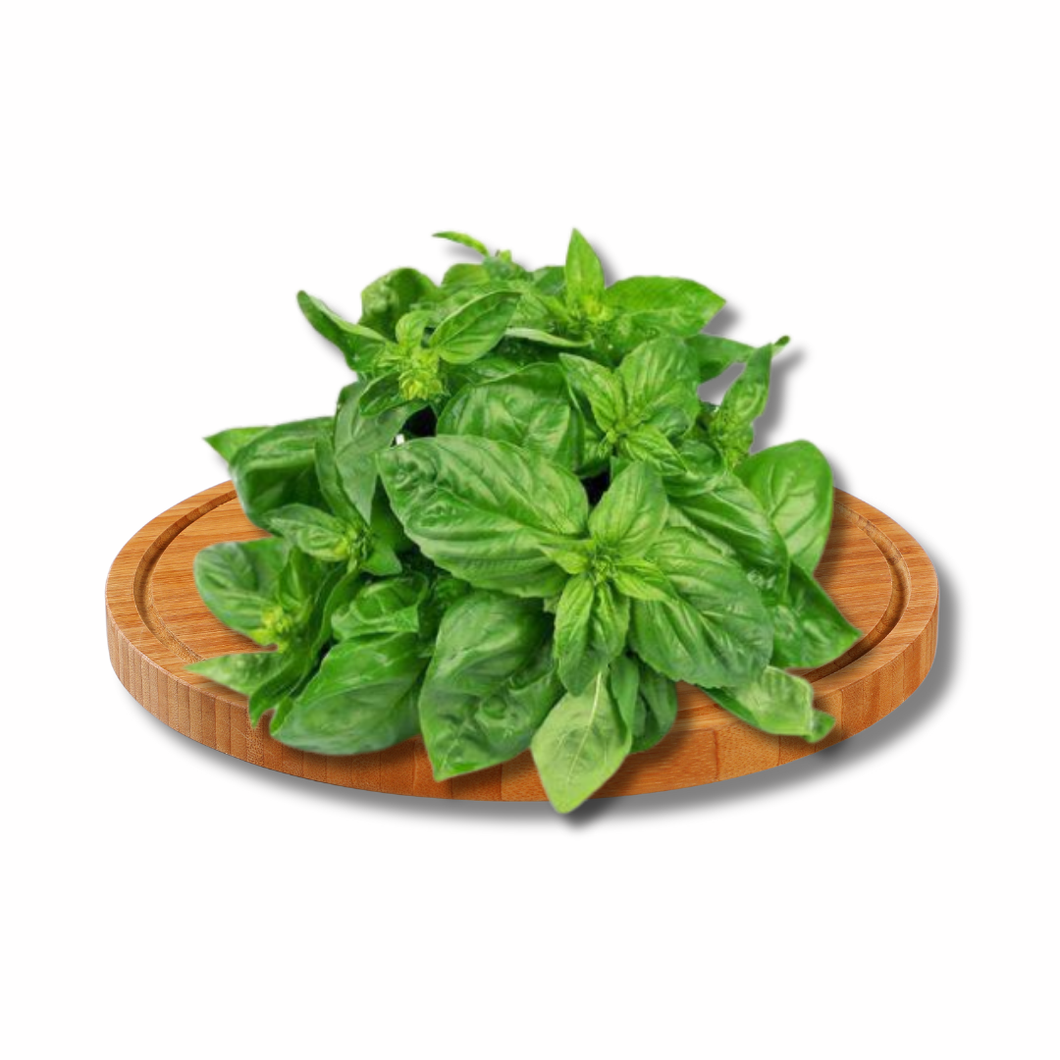 Basil