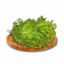 Load image into Gallery viewer, Dahon ng Sampaloc - Usbong (Per Tali)
