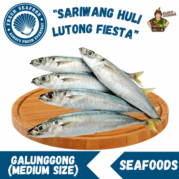 Galunggong (Medium size)