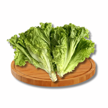 Load image into Gallery viewer, Green Ice Lettuce
