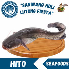 Load image into Gallery viewer, Hito
