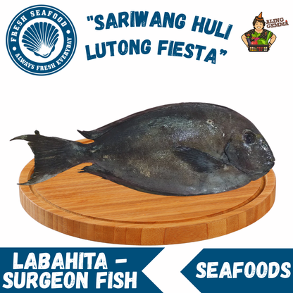 Labahita - Surgeon Fish