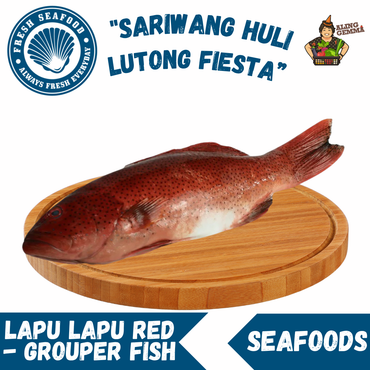 Lapu Lapu Red - Grouper Fish