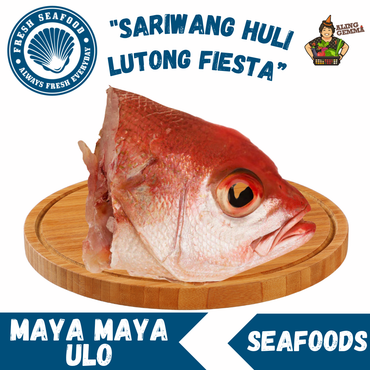 Maya Maya Ulo