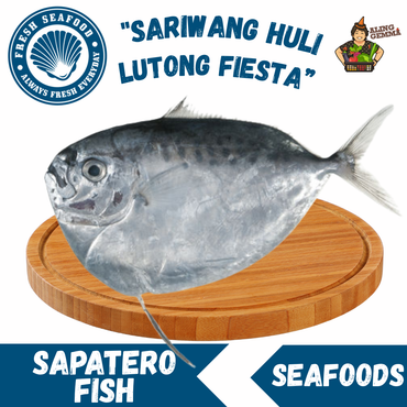 Sapatero Fish