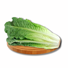 Load image into Gallery viewer, Romaine Lettuce
