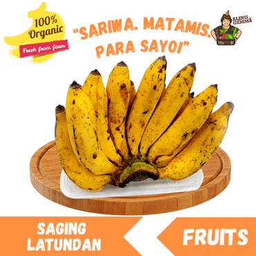 Saging Latundan