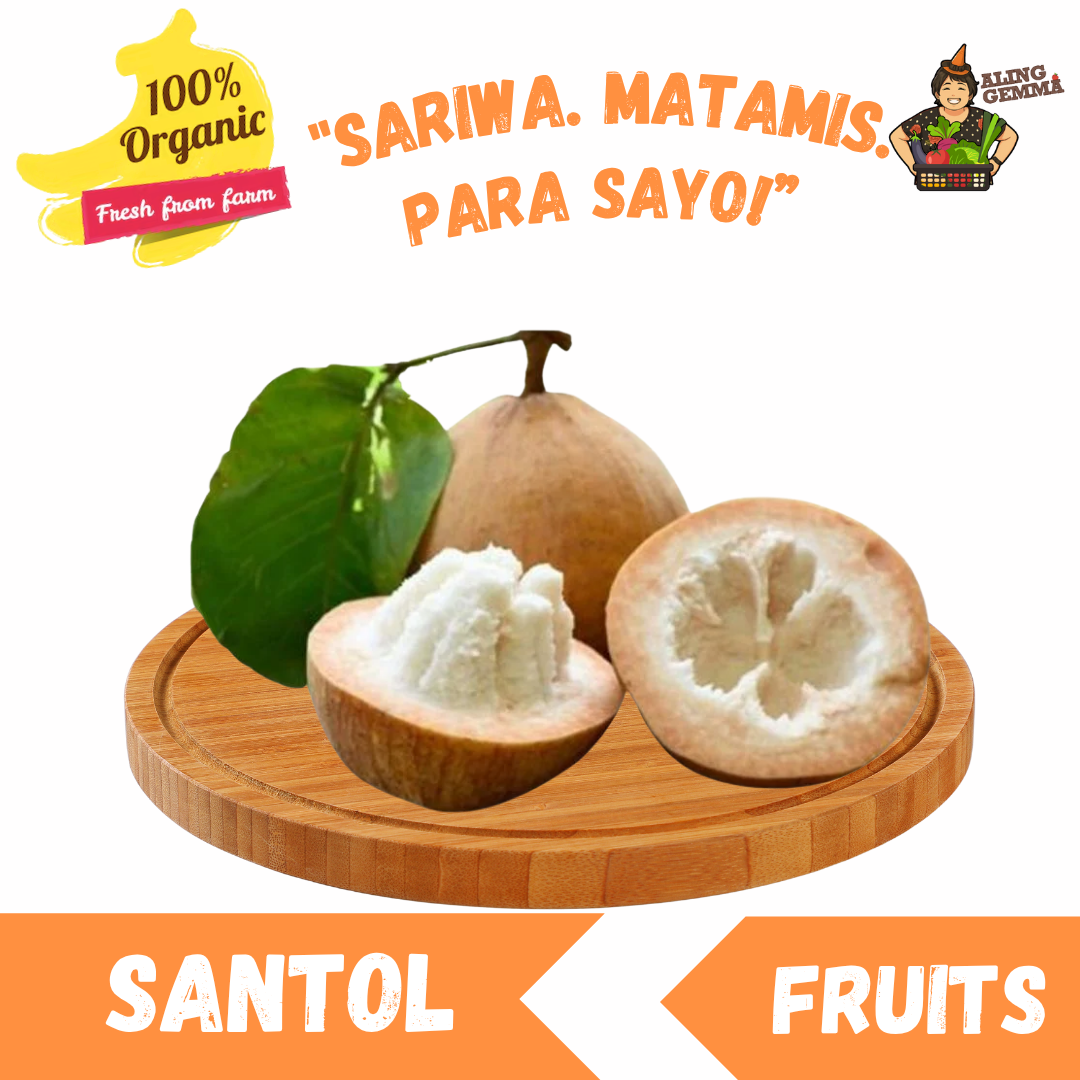Santol