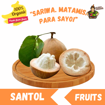 Santol