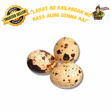 Load image into Gallery viewer, Quail Eggs - Itlog ng Pugo
