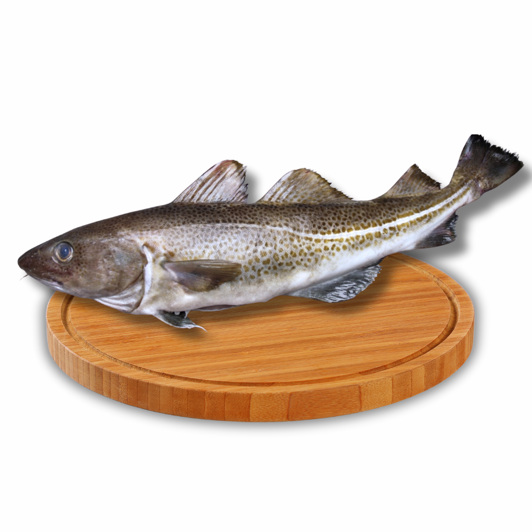 Bacalao