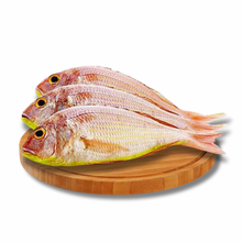 Load image into Gallery viewer, Bisugo
