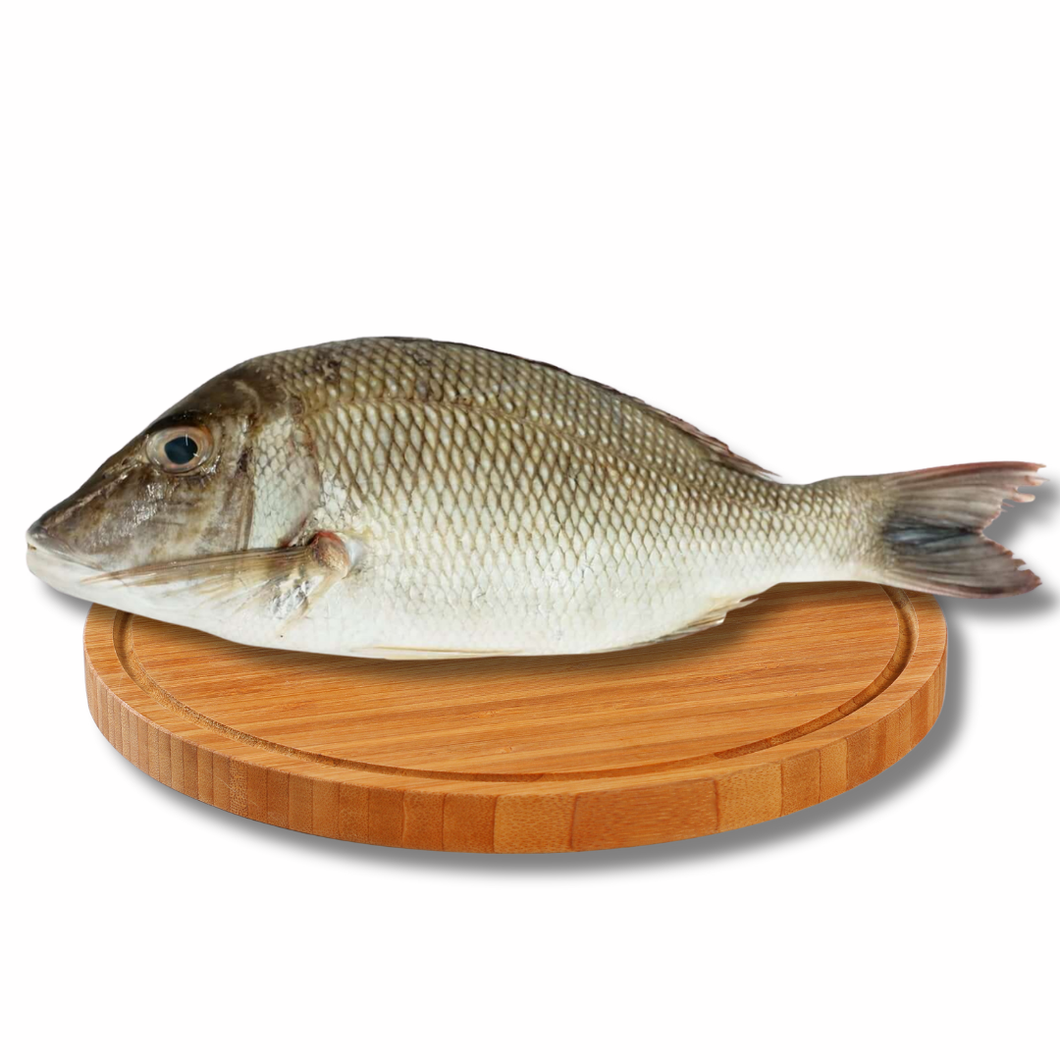 Bitilya