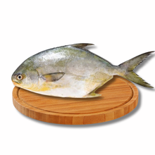 Load image into Gallery viewer, Pompano
