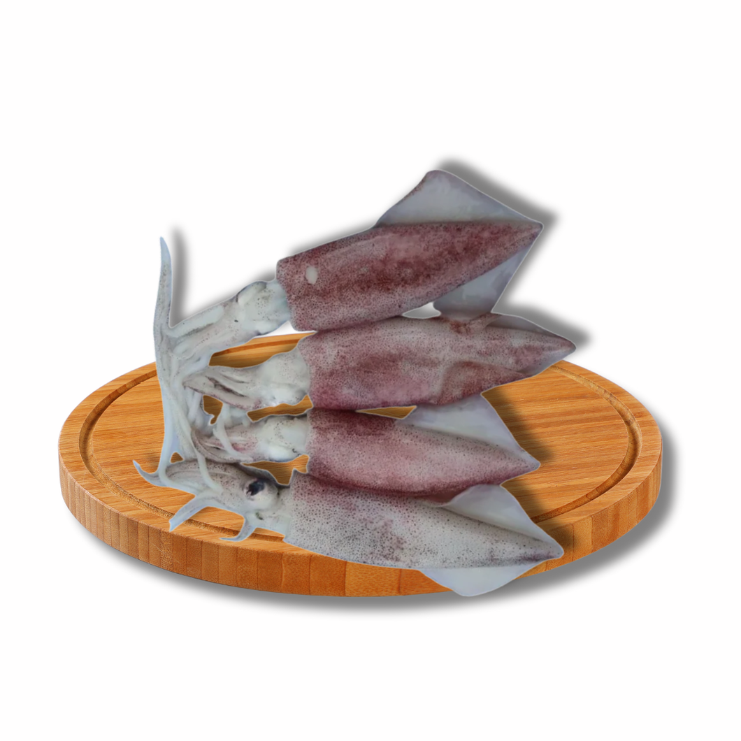 Pusit (Medium)