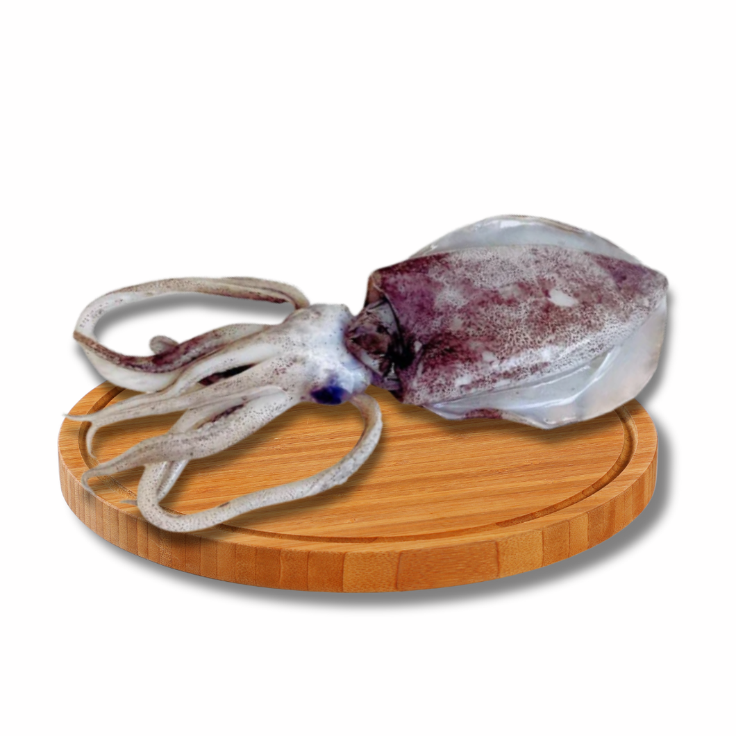 Pusit Lumot