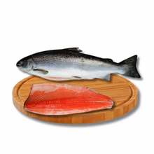 Load image into Gallery viewer, Salmon
