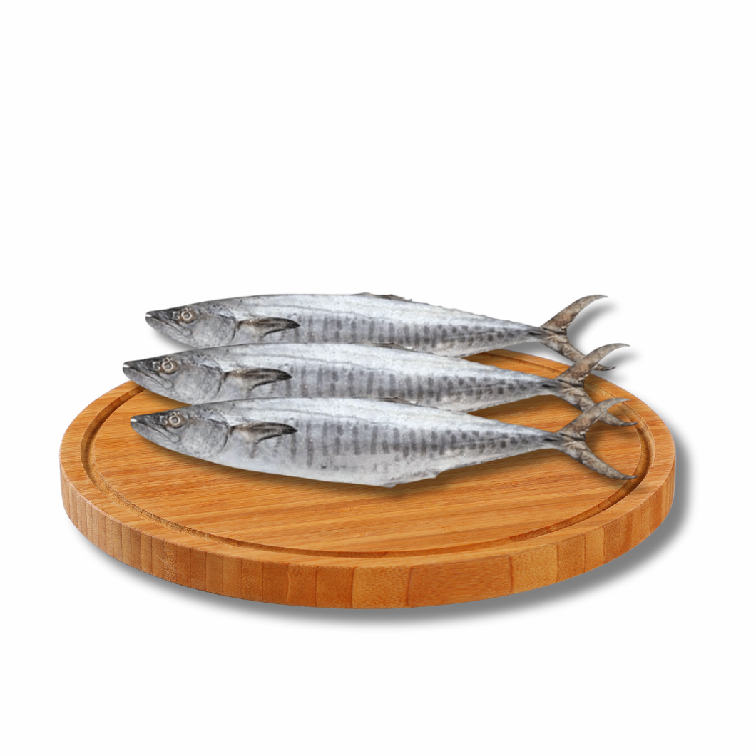 Tanigue
