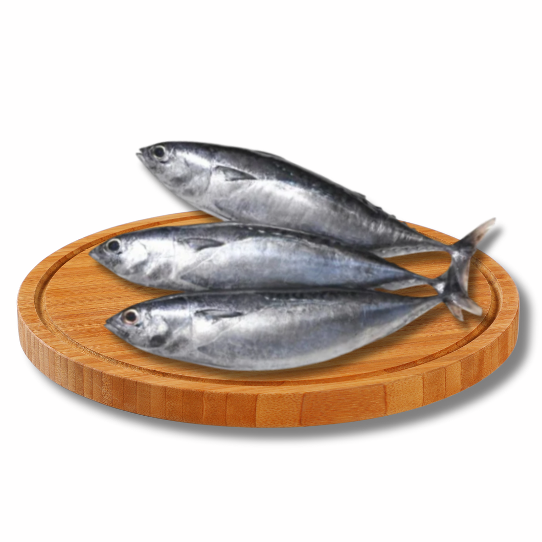 Tulingan