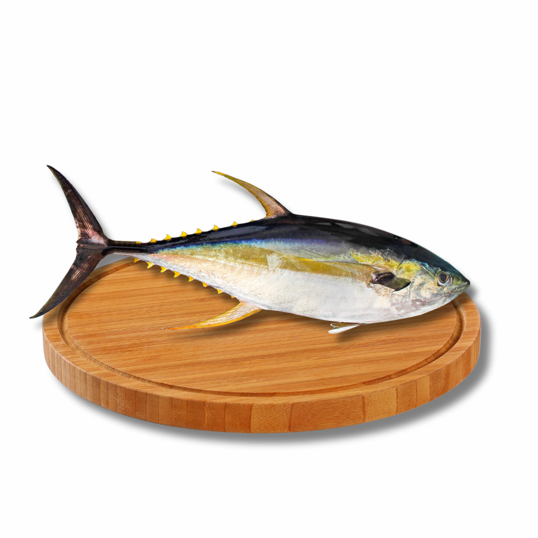 Yellow Fin (buo)