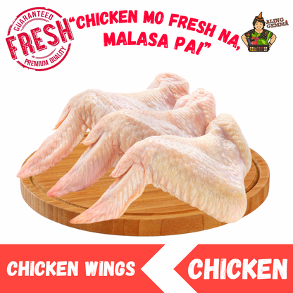 Chicken - Wings - Pakpak