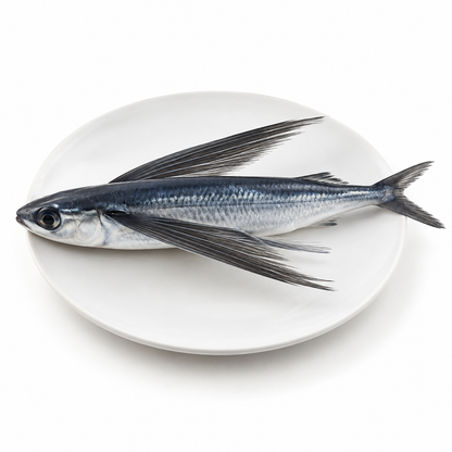 Fresh flying fish on a white plate