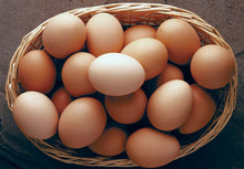 Load image into Gallery viewer, Egg Brown - 1 yolk (30pcs - 1 tray)

