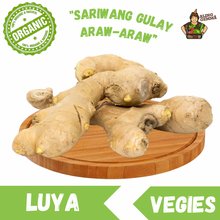 Load image into Gallery viewer, Luya
