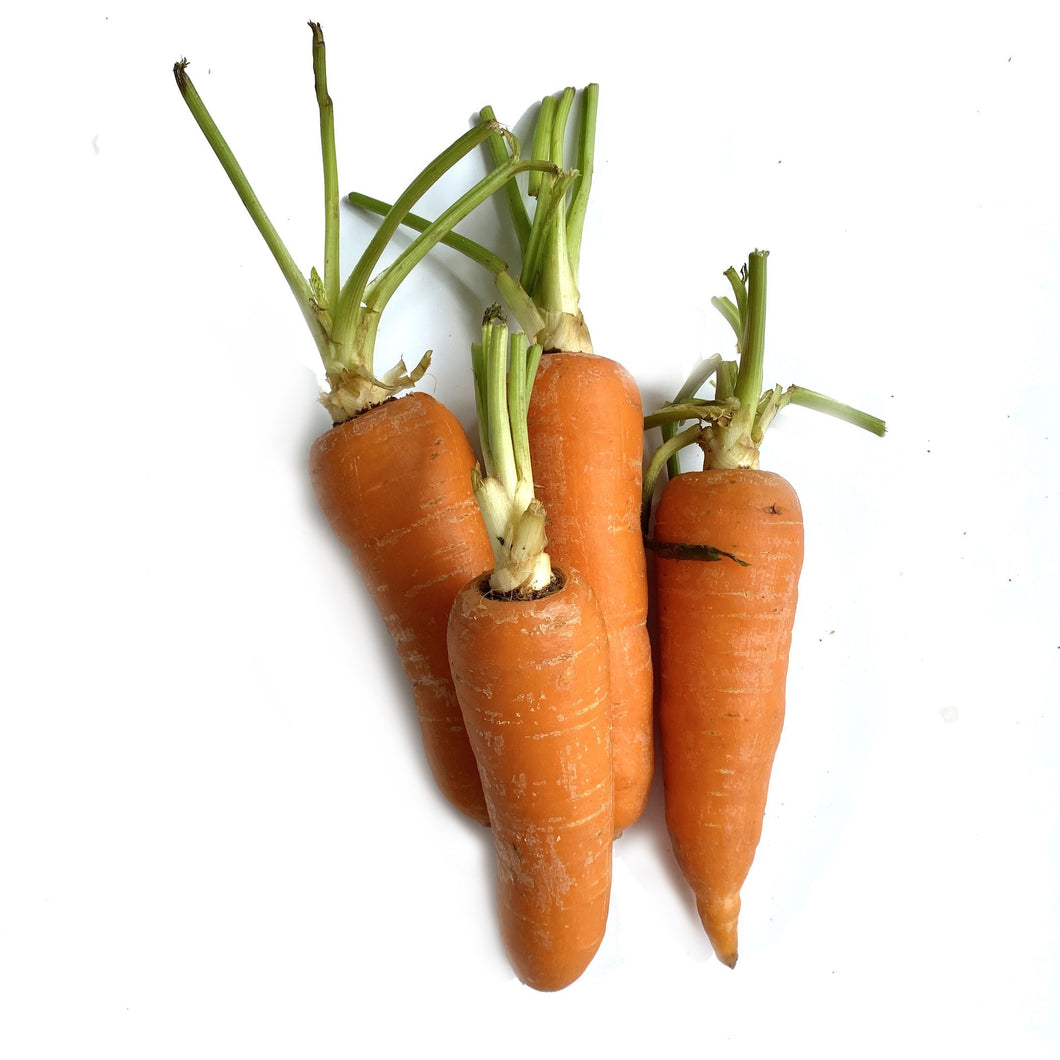 Carrots