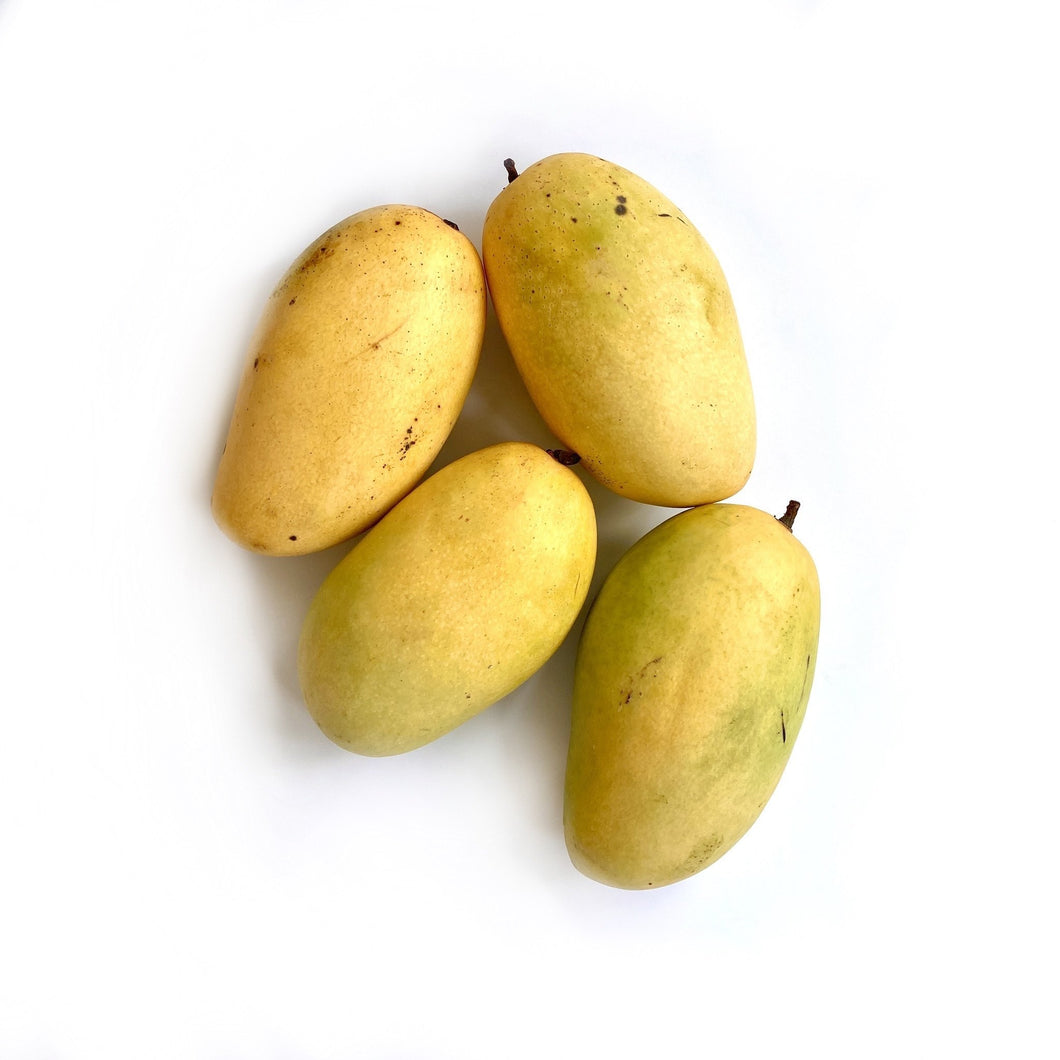 Ripe Mango