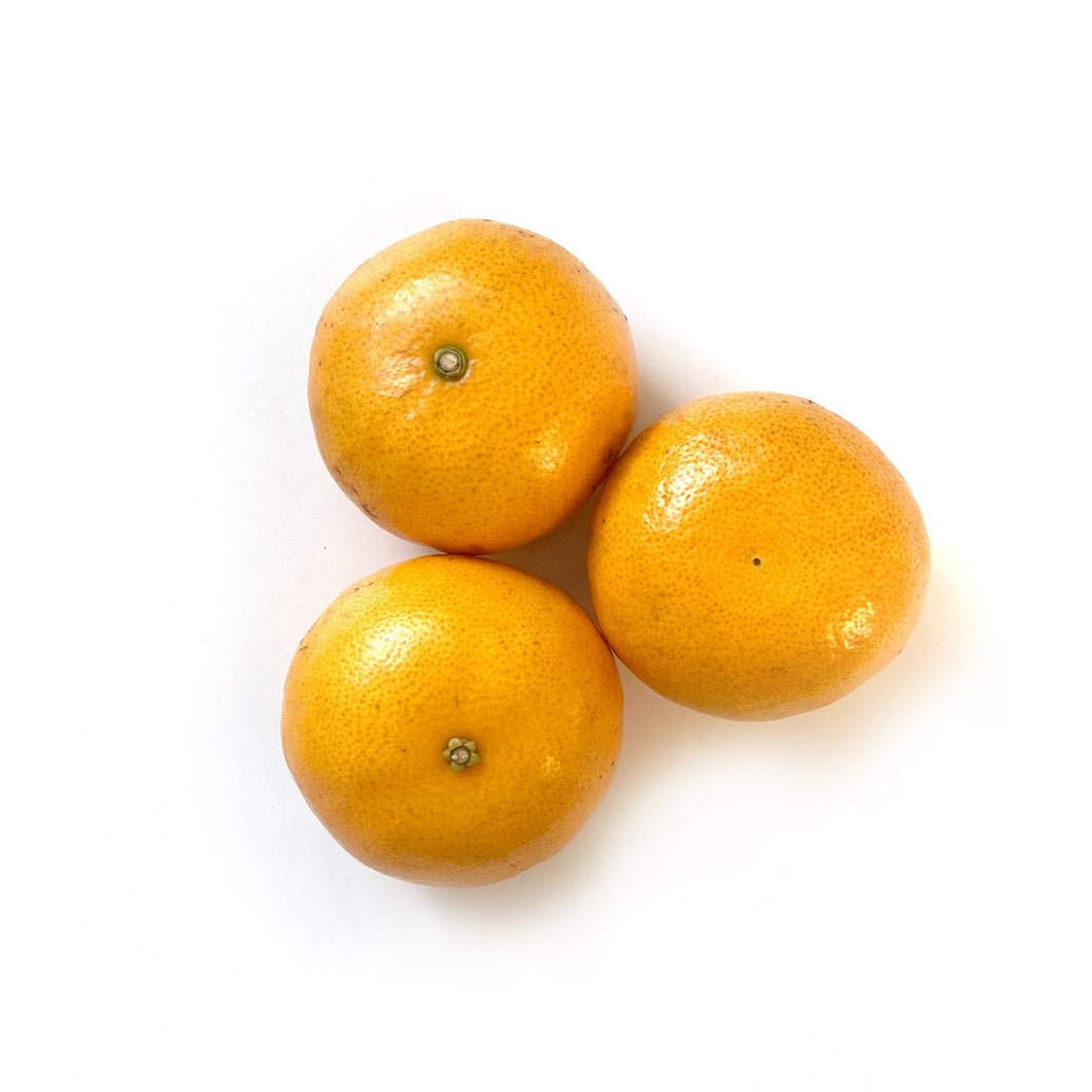 Orange Ponkan Mandarin (per piece)